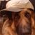 Kayne Quinlan's profile image