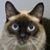 Marta Mendez's profile image
