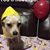 Kim Richards's profile image