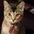 Brenda Marshall Kent's profile image