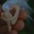 Brittany Ritenour's profile image
