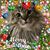 Gina Olson Namin's profile image