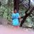 Joy Mallaram's profile image