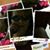 Lynne Rogers's profile image