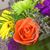Monica Olmstead's profile image