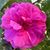 Jill McMurry Freeman's profile image