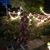 Katrina Villani's profile image