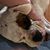 Janell Couse's profile image