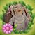 Claire Allen's profile image