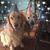 Amy Eckstein's profile image
