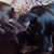 Jody Morton-Roberge's profile image