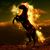 Harley Livingston's profile image