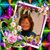 Naomi Tricomi's profile image