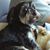 Kathy Potter Breedlove's profile image