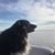 Linda Hagan's profile image