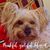 Christa Revell's profile image