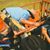 Antonio Sanchez Mendez's profile image