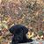 LaRay Waring Hoover's profile image