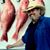 Randall Bird's profile image