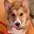 Janice Ridenour's profile image