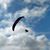 Carol Behrmann Kling's profile image