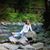 Merrie Beth Schramm's profile image
