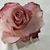 Sharon Ciarla-Olsen's profile image