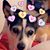 Dee Anne Krebs's profile image
