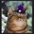 Suzanne Poitras's profile image