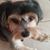 Terry Marchetti's profile image