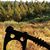 Wannab Deerslayer's profile image