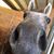 Sarah Jenkins's profile image