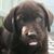 Tina Wilson's profile image