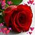 Carolyn Henderson's profile image