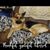 Kathy Avery Varney's profile image