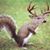 Jamey Strickland's profile image