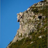 Darin Hayes's profile image