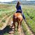 Jessica Yochum's profile image