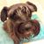 Angela Robins Schafer's profile image