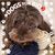 Barbara Colegrove Bravo's profile image