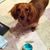 Candis Streit's profile image