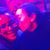Carina Studer-Dyer's profile image