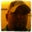 Andrew Streetman's profile image