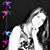 Lizzy Yarkosky's profile image