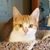 Margaret Evans Breden's profile image