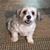 George Taylor's profile image