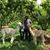 Stephanie Fernandez's profile image