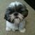 Tricia Wright's profile image