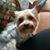 Tabitha Thomas Oliver's profile image