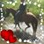 Tracy Juenemann's profile image